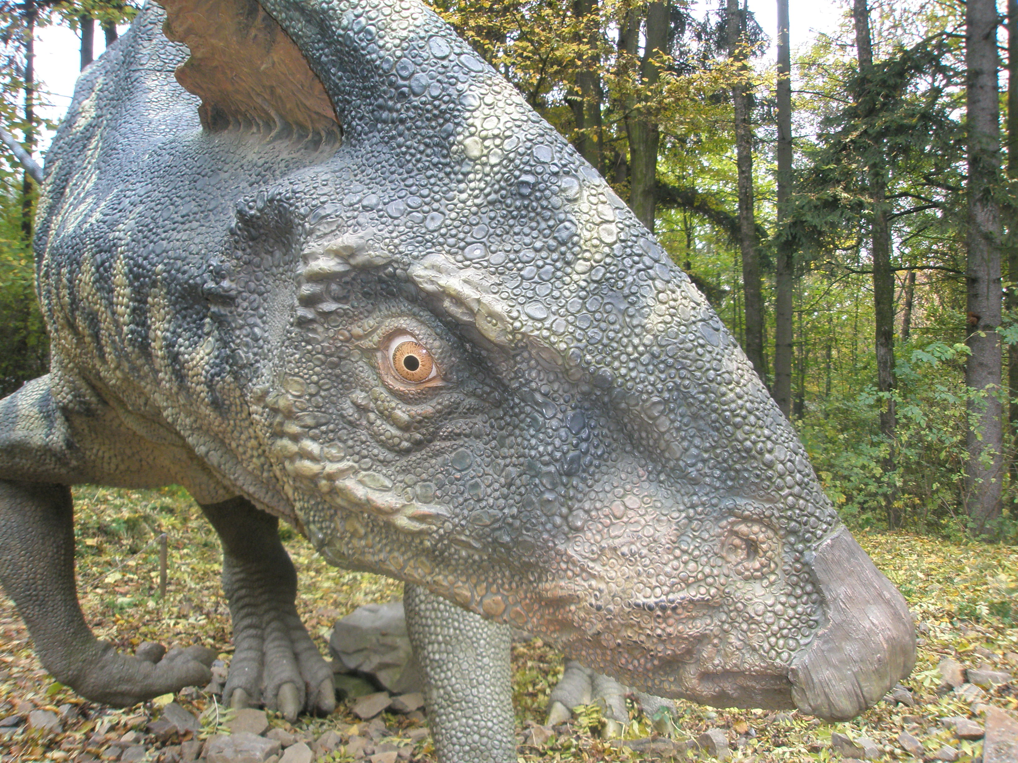 PA280057.JPG