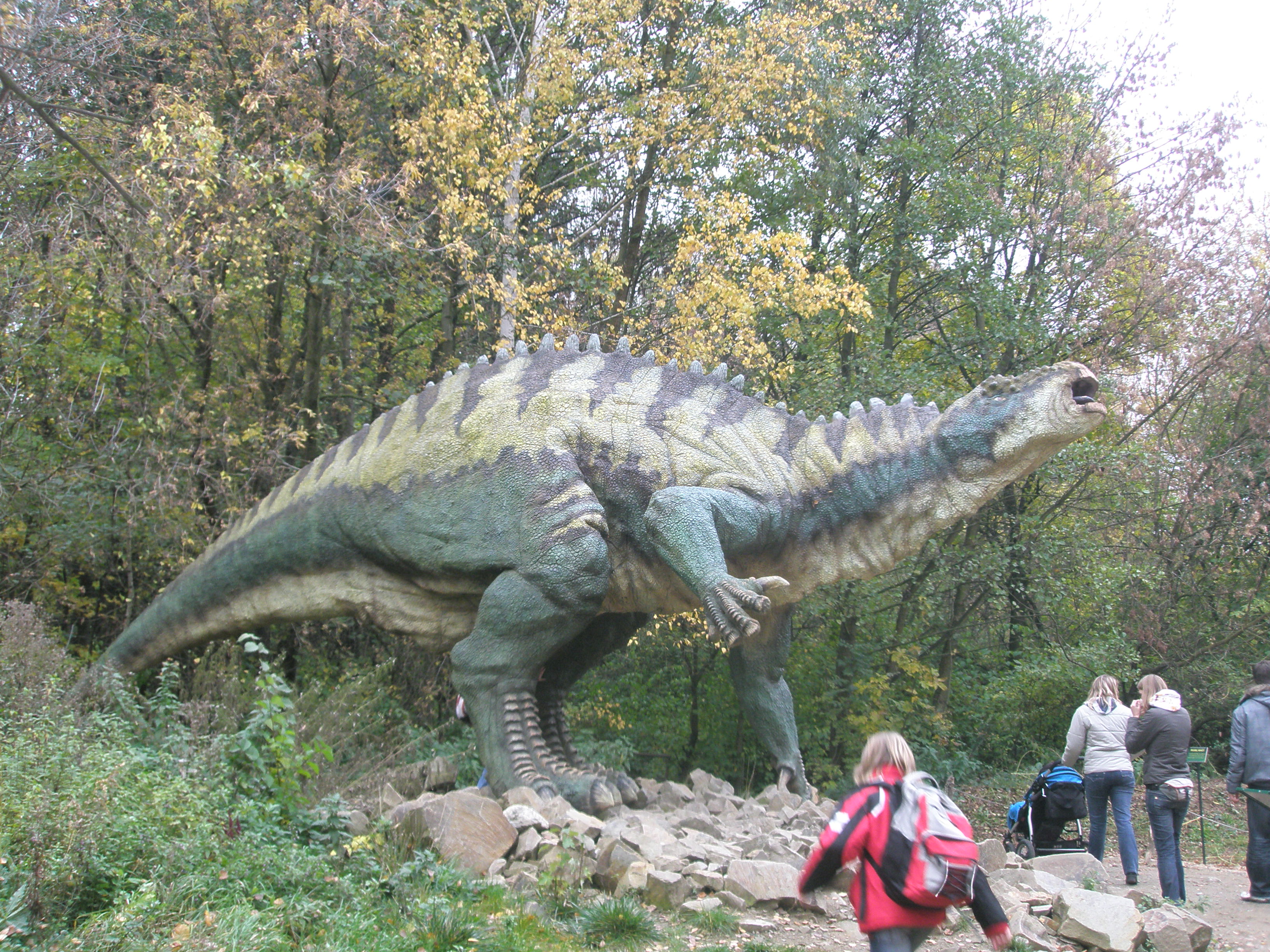 PA280079.JPG